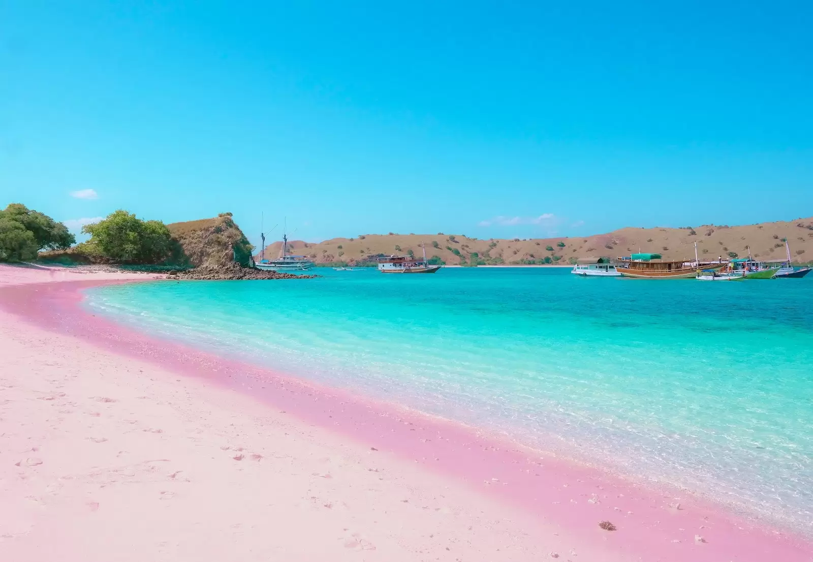 Pantai Pink di Pulau Komodo