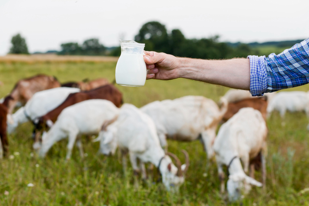 Susu kambing