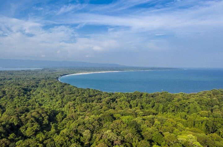 taman nasional ujung kulon