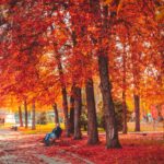 negara dengan musim gugur terindah