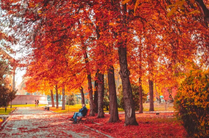 negara dengan musim gugur terindah