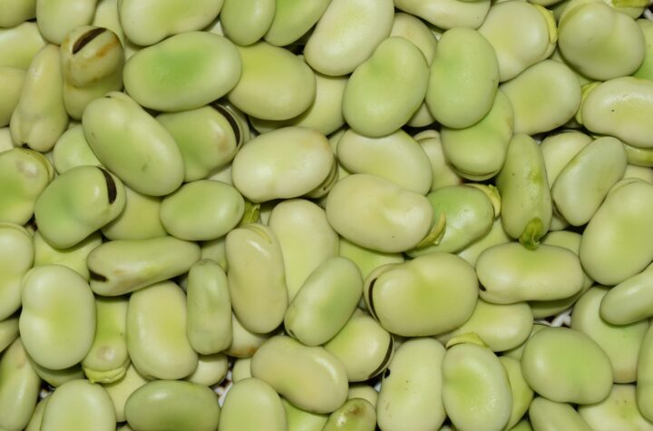 Manfaat kacang kedelai